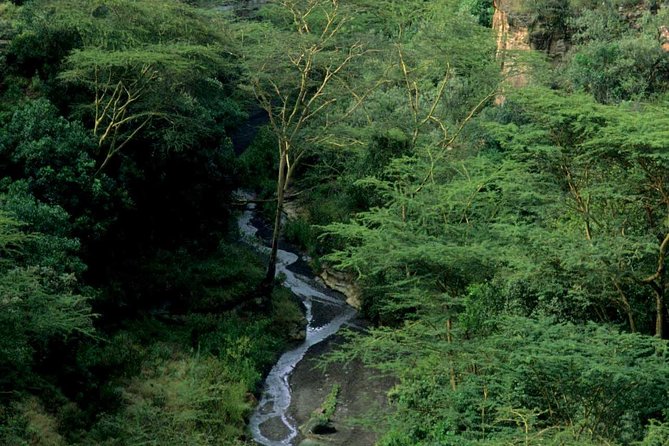 Small Group Budget Tour to Hells Gate National Park and Lake Naivasha Boat Ride - The human part: guides, safety, and the small-group feel