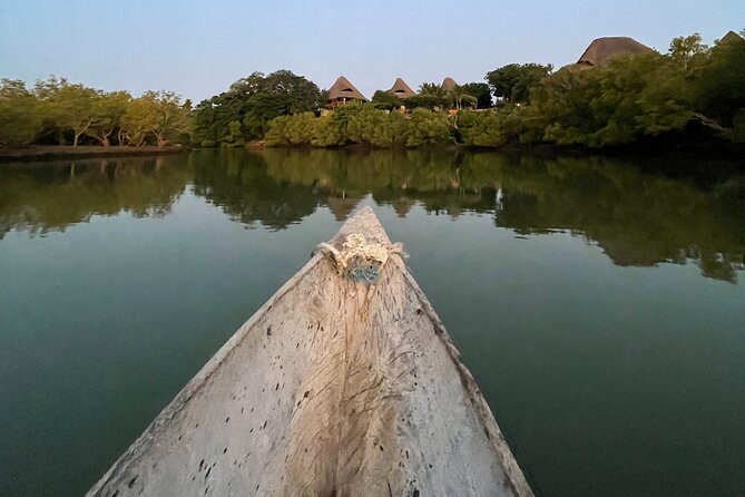 Sunset Canoe Tour on a River within the Mangroves - Sunset Canoe Timing: Why 4:45 pm Matters Here