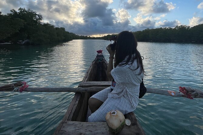 Sunset Canoe Tour on a River within the Mangroves - What You See: Mangroves, Birds, Palms, and That River-to-Sea Feeling