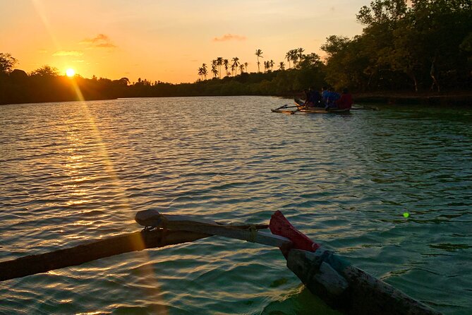 Sunset Canoe Tour on a River within the Mangroves - Omari as Your Guide: Bird Spotting and Practical Storytelling