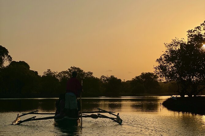 Sunset Canoe Tour on a River within the Mangroves - The Canoe Experience: Wooden, Quiet, and Human-Powered