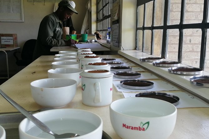 Tea Farm Experience at Riara Tea Farm And Factory Tour - Who This Riara Tea Farm and Factory Tour Fits Best