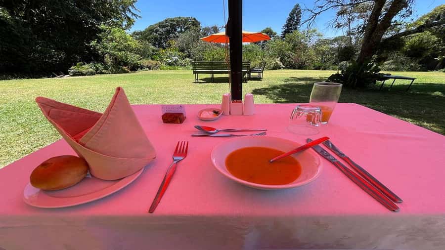 Tea Farm Tour From Nairobi (Kiambethu). - The drive out of Nairobi: why this day trip feels worth it