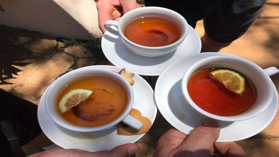 Tea Farm Tour From Nairobi (Kiambethu). - The tea-making process and tasting: what you’ll learn (and what you’ll taste)