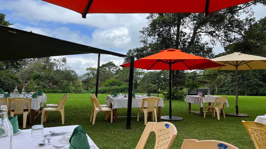 Tea Farm Tour From Nairobi (Kiambethu). - Who should book Kiambethu, and who might prefer another plan