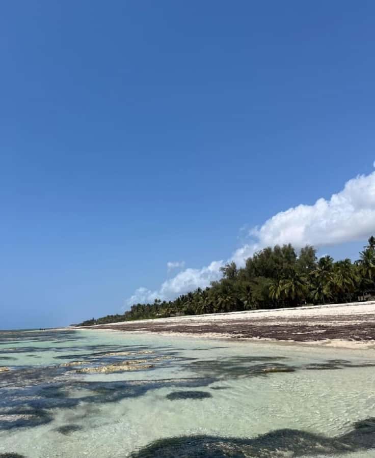 Tiwi Beach: Guided Tour to the African Pool - The African pool: swim time, the animal-watching lesson, and a weirdly perfect shape