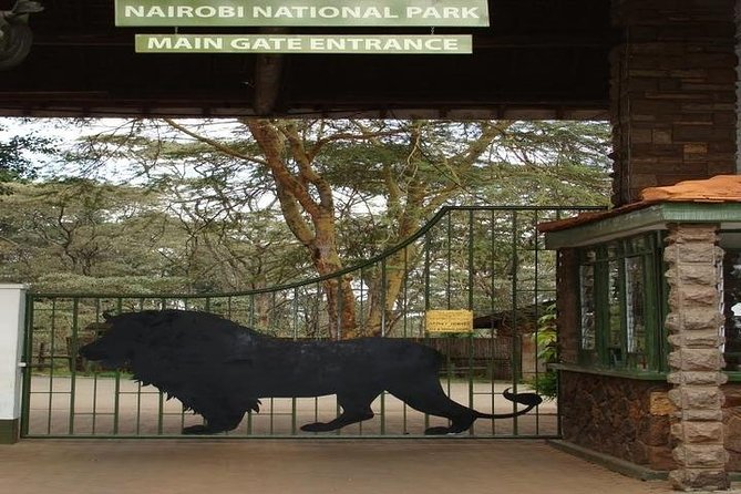 Tour: Giraffe Center and Nairobi National Park - Choosing the morning start for better sightings