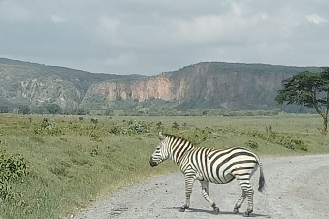 Tour to Hells Gate National park & L Naivasha boat ride - Hell’s Gate biking safari: how the 8 km ride feels
