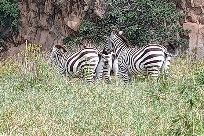 Tour to Hells Gate National park & L Naivasha boat ride - Price and value: what $90 covers and what to budget