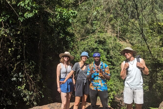 Trip from Nairobi to Muranga with Waterfall Hike and Picnic - A fast Nairobi reset with real countryside time