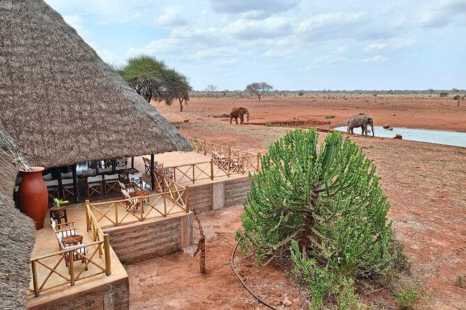Tsavo East and Ngutuni Sanctuary Safari 3 days from Mombasa - Day Three: Another Early Drive, Then a Gradual Exit