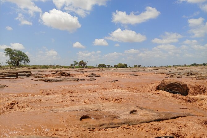 Tsavo East and Ngutuni Sanctuary Safari 3 days from Mombasa - Safari Reality Check: What to Bring and How to Improve Your Odds