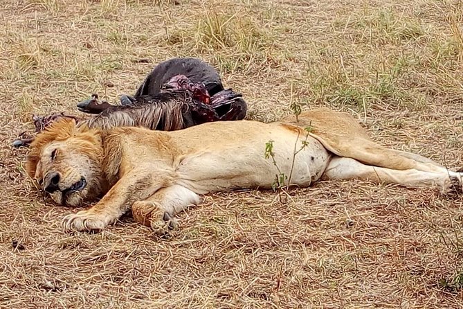 Tsavo National Park Small group Day trip - What to pack for a day that starts early and ends late