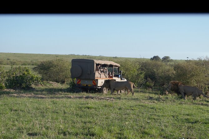 Ultimate 12 Days Private Safari Tour in Kenya and Tanzania - A Private Kenya and Tanzania Safari That Lets Your Group Set the Pace