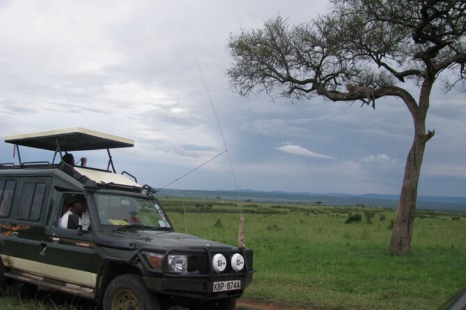 Ultimate 12 Days Private Safari Tour in Kenya and Tanzania - Masai Mara National Reserve: Two Days of Big Cats and (Possible) Migration