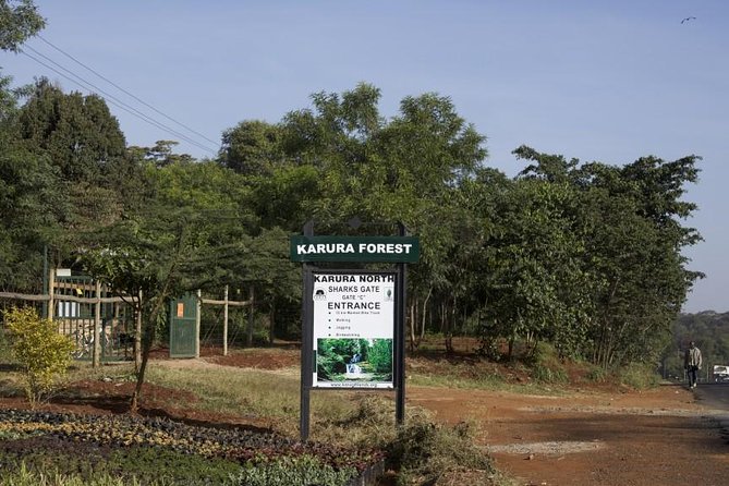 Urban Forest Tour in Nairobi - Why Karura Forest Feels Like a Nairobi Reset