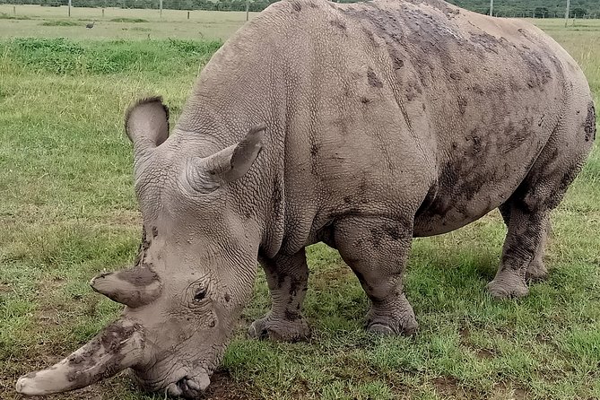 Vegans special safari - Price and what you get for $3,076.93