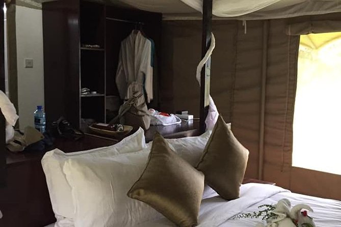Vegans special safari - Day in Nairobi National Park and David Sheldrick Elephant Trust