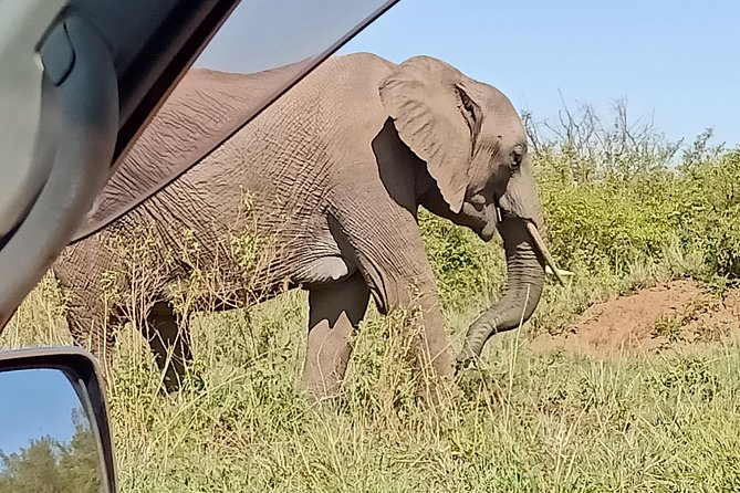 Vegans special safari - Lake Naivasha boat tour and Crescent Island movie magic