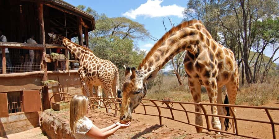 Visit to the Giraffe Centre - Getting there from Nairobi: the drive time reality