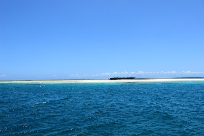 Wasini Day Tour - Boarding the traditional dhow: dolphins, drinks, and a real maritime feel
