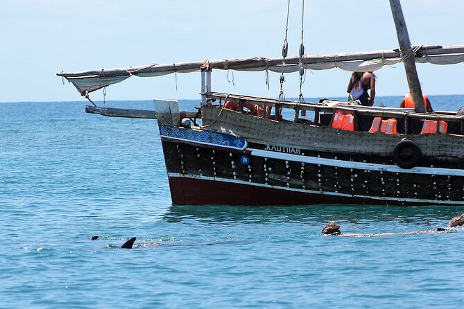 Wasini Dolphin Snorkeling - Who this tour is best for