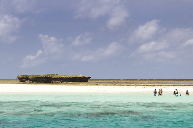 Wasini Dolphin Snorkeling - Should you book Wasini Dolphin Snorkeling?
