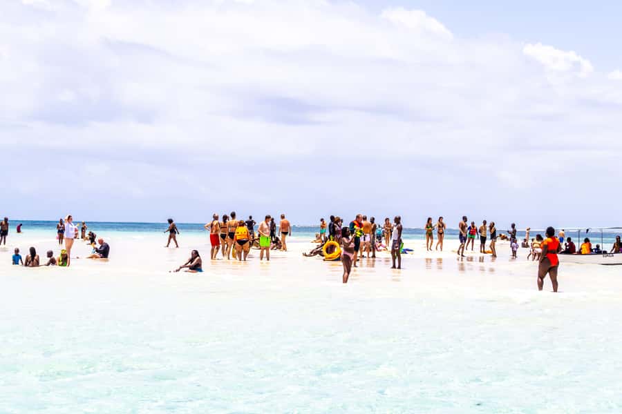 Wasini Island: Dolphin Spotting & Snorkel at Kisite Mpunguti - Mangrove Boardwalk and the Coastal Scenery Factor