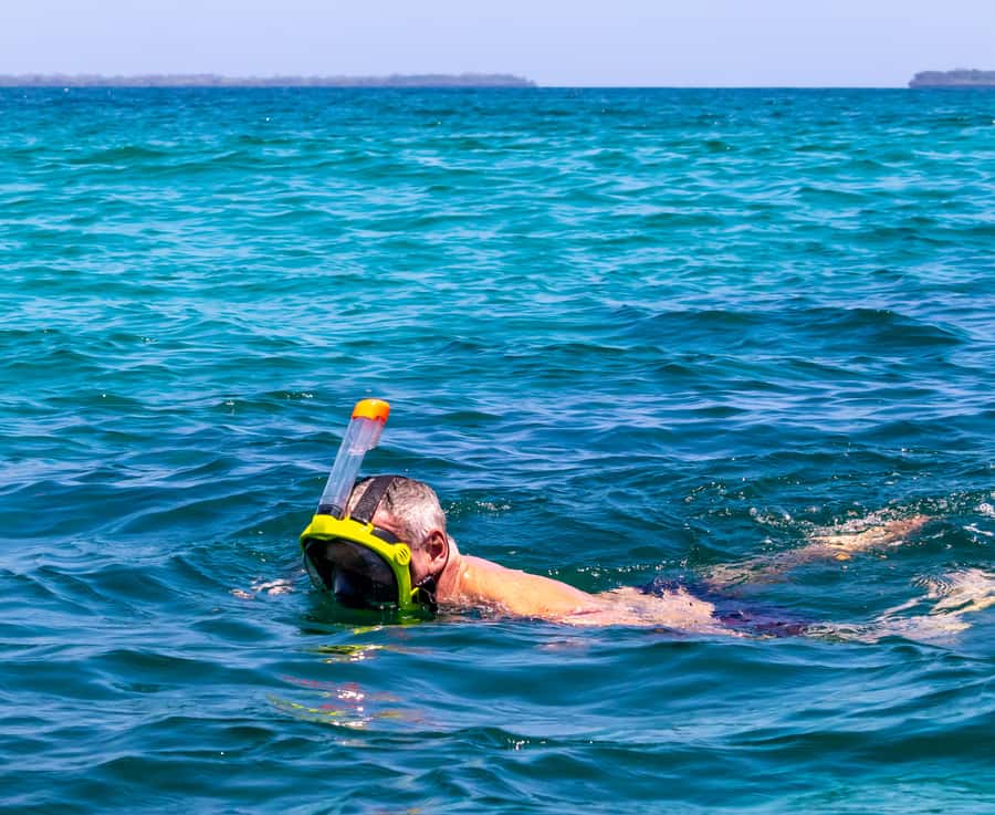Wasini Island: Dolphin Spotting & Snorkel at Kisite Mpunguti - Service Levels: Guides, Boats, and What the Best Days Feel Like
