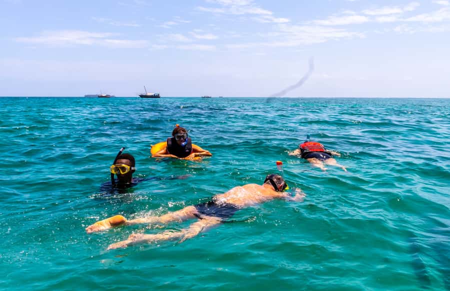 Wasini Island: Dolphin Spotting & Snorkel at Kisite Mpunguti - The 9-Hour Schedule and How Pickup Affects Your Day