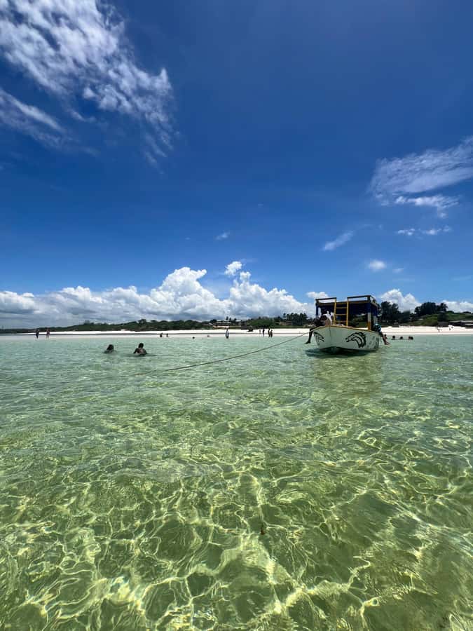 WATAMU: MALINDI: SARDEGNA ISLAND & MALINDI MARINE PARK - Malindi to Sardegna 2: What This 7-Hour Sea Day Delivers
