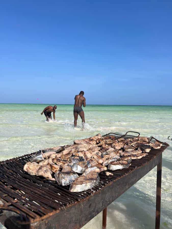 WATAMU: MALINDI: SARDEGNA ISLAND & MALINDI MARINE PARK - Getting Reef-First With the Glass-Bottom Boat