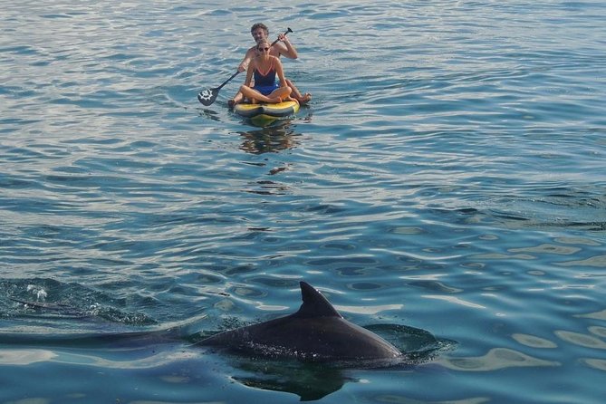 Watamu Marine Park & Sudi Island Mangrove Forest Canoe Ride.With sea food lunch - Getting From Mombasa to Watamu: The Easy Start
