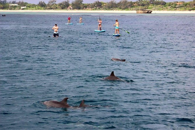 Watamu Marine Park & Sudi Island Mangrove Forest Canoe Ride.With sea food lunch - Sudi Island Mangrove Canoe Ride: Quiet Water, Local Energy