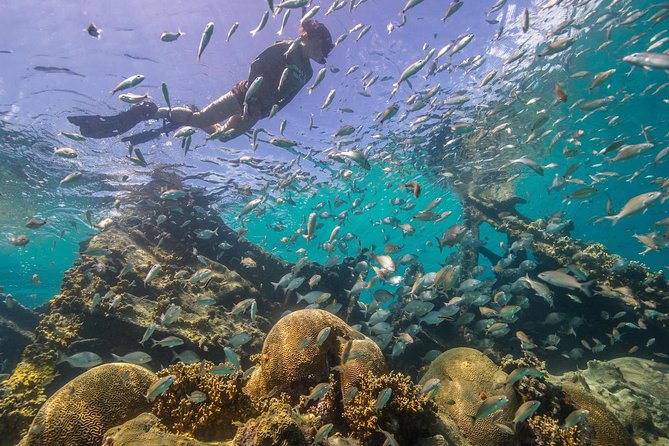 Watamu Marine Park & Sudi Island Mangrove Forest Canoe Ride.With sea food lunch - Logistics and Timing: How to Handle a Long Water-Focused Day