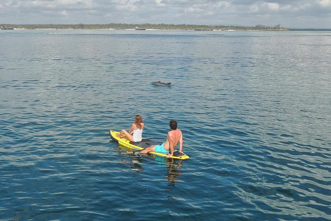 Watamu Marine Park & Sudi Island Mangrove Forest Canoe Ride.With sea food lunch - Snorkeling, Dolphins, and What Season Means for Your Day