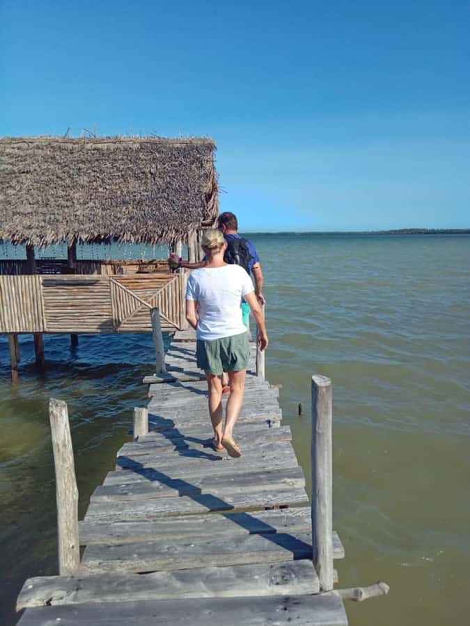 Watamu: Sunset Mangrove Canoe Tour with Coconut Drink - Getting on the water: canoe rhythm, bird spotting, and local guide style