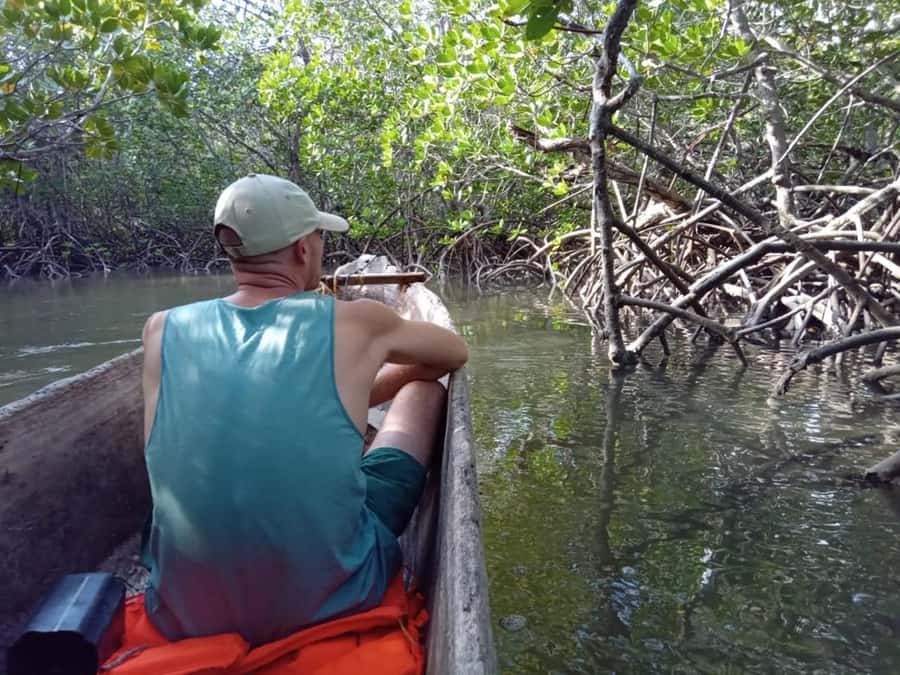 Watamu: Sunset Mangrove Canoe Tour with Coconut Drink - Mangrove creatures: mudskippers, oysters, and frogfish sightings