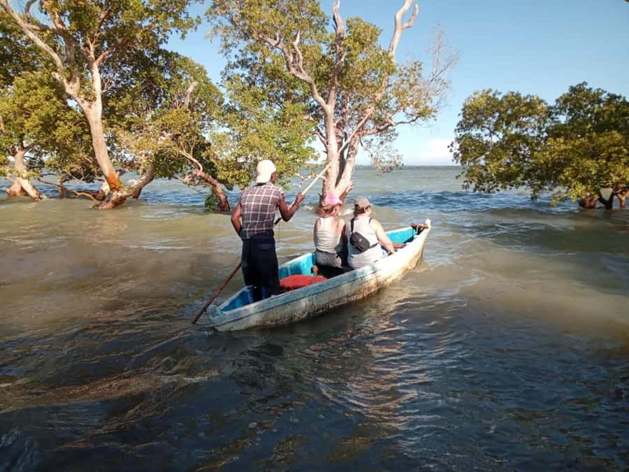 Watamu: Sunset Mangrove Canoe Tour with Coconut Drink - Sunset over Green Island, then back to land for village calm